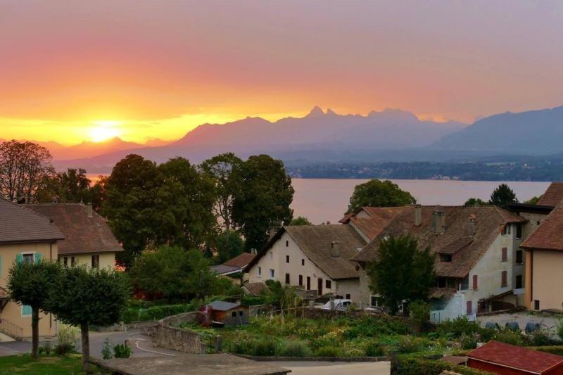 Appartement Cosy Et Confortable A Deux Pas Du Lac Excenevex Bagian luar foto